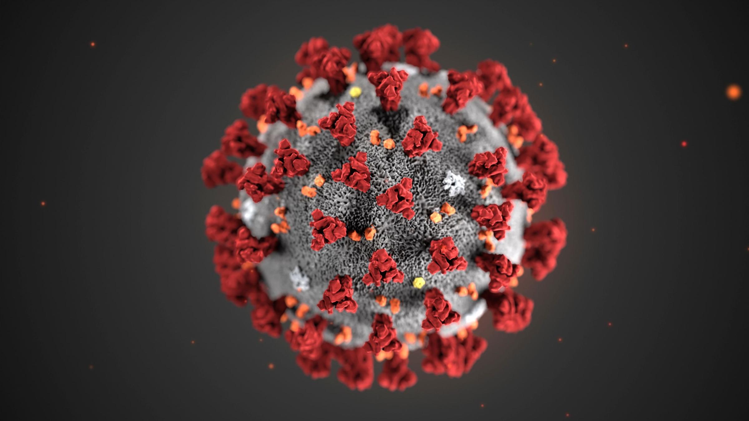 corona-virus_2400x1350