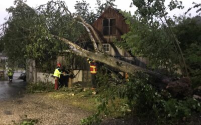 Elementarereignis – Baum auf Anbau